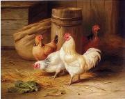 unknow artist Cock 187 oil painting picture wholesale